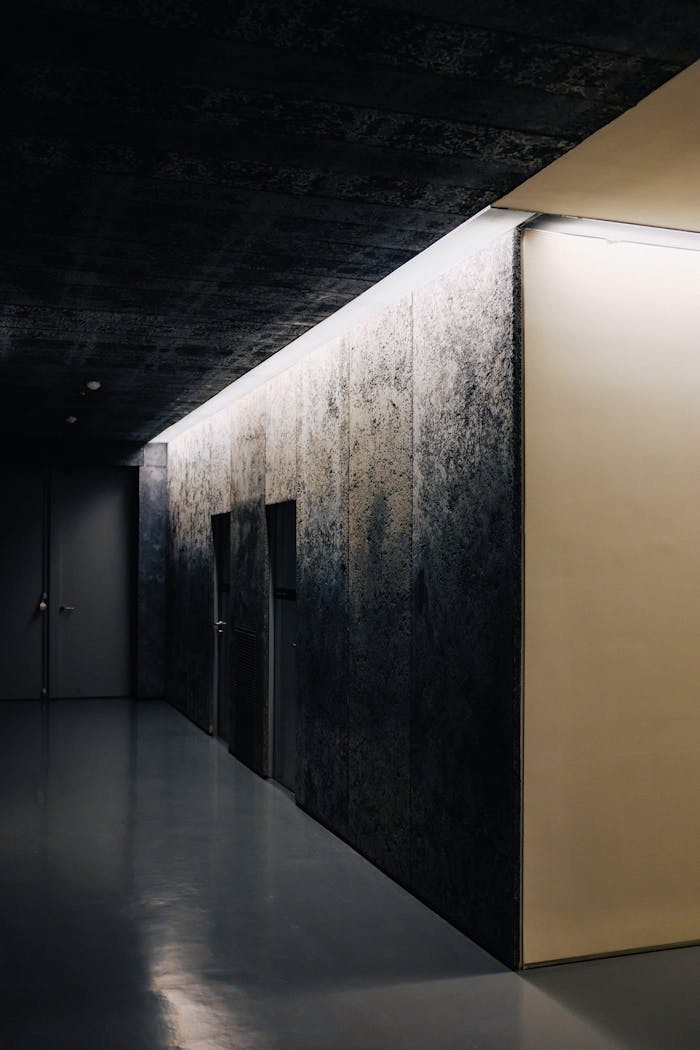 A dark, minimalist hallway interior with intriguing lighting and textured walls.