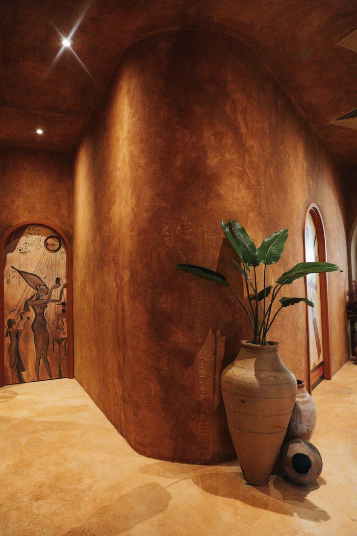services-02 Warm rustic interior featuring a large potted plant in a stylish corridor.